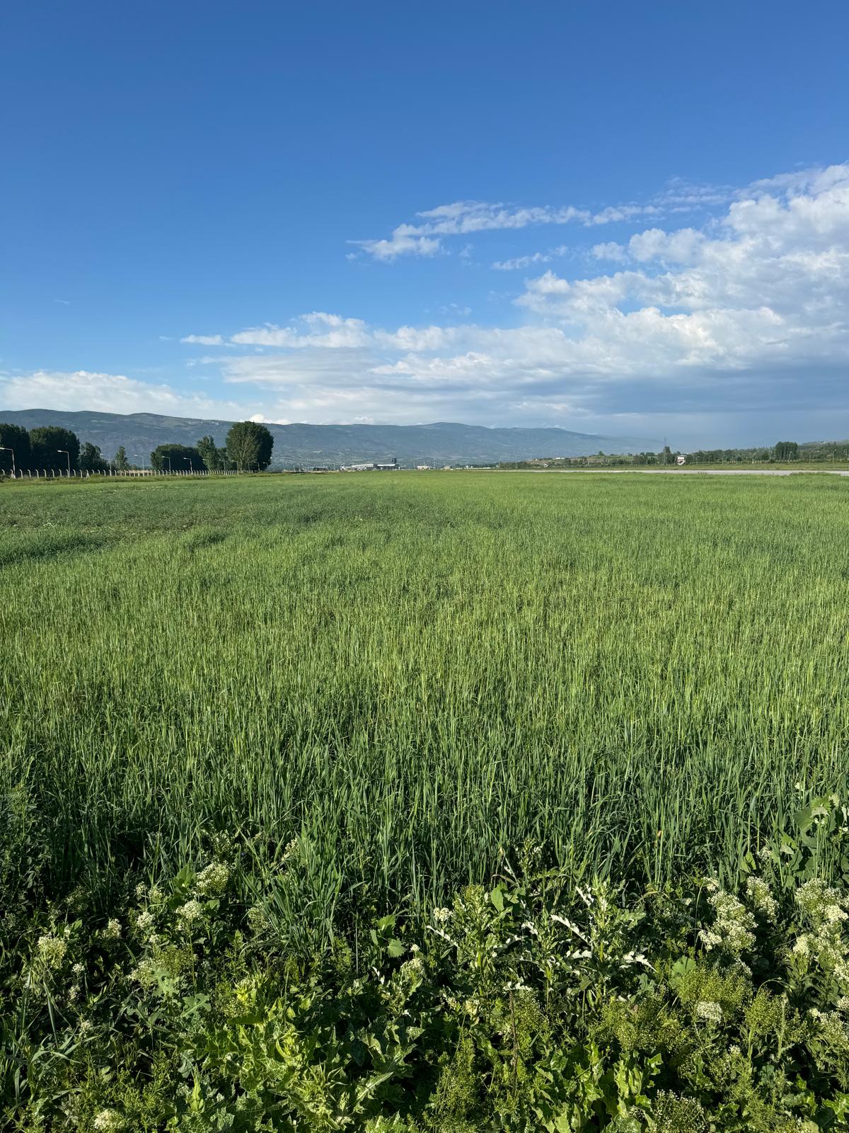 Geçmişten Günümüze