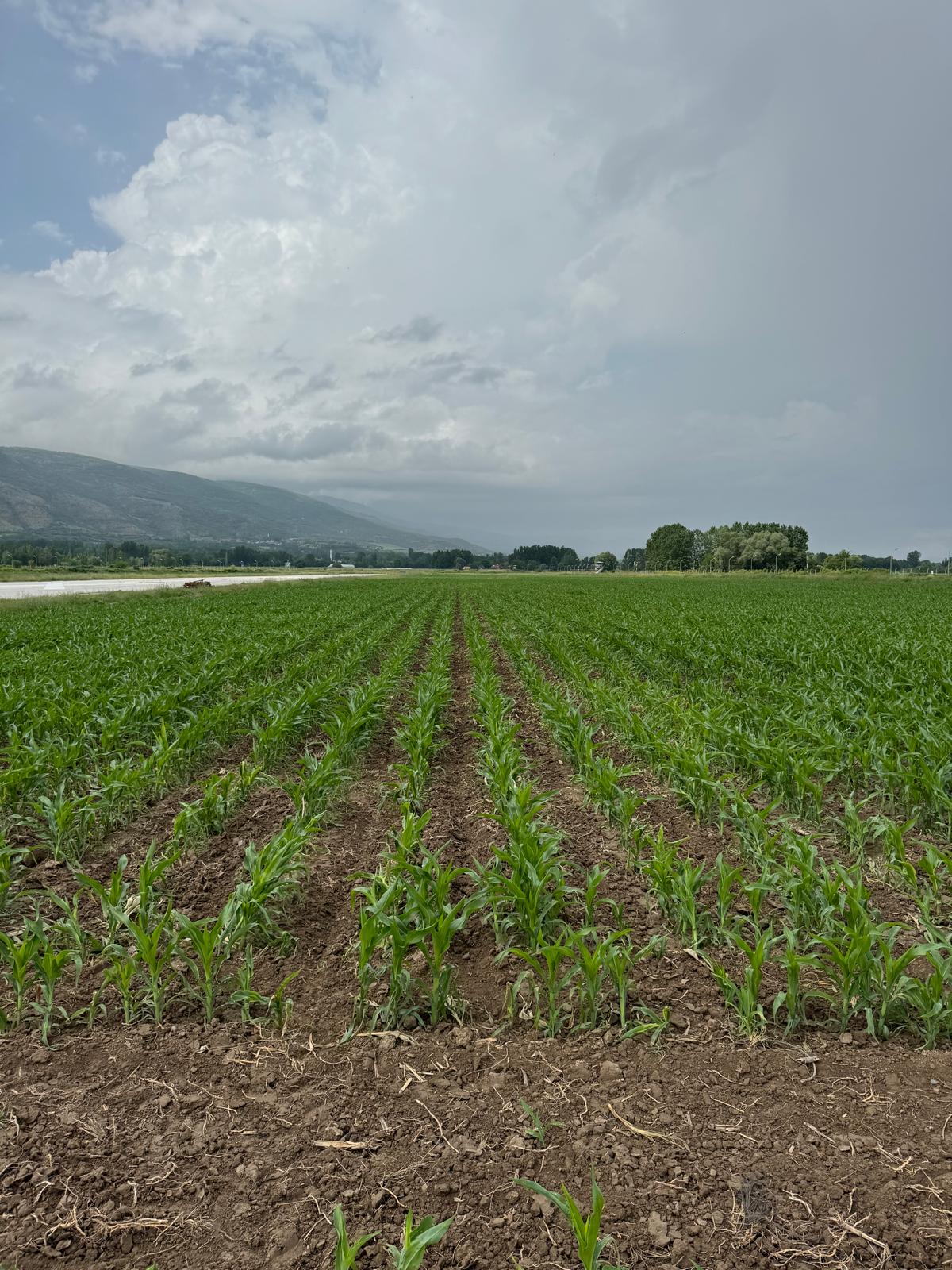 Geçmişten Günümüze